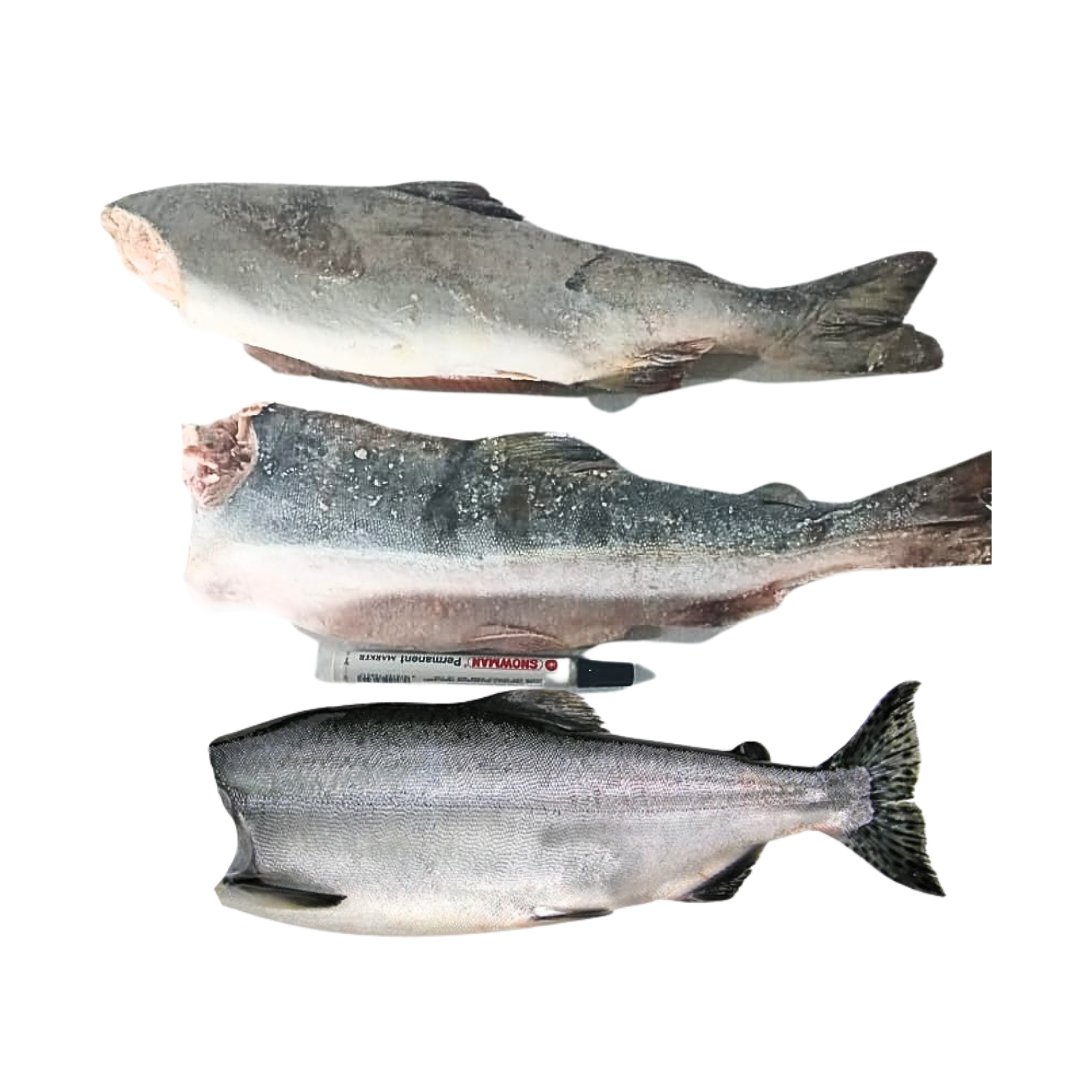 Produk: Pink Salmon | Harga 600.000K